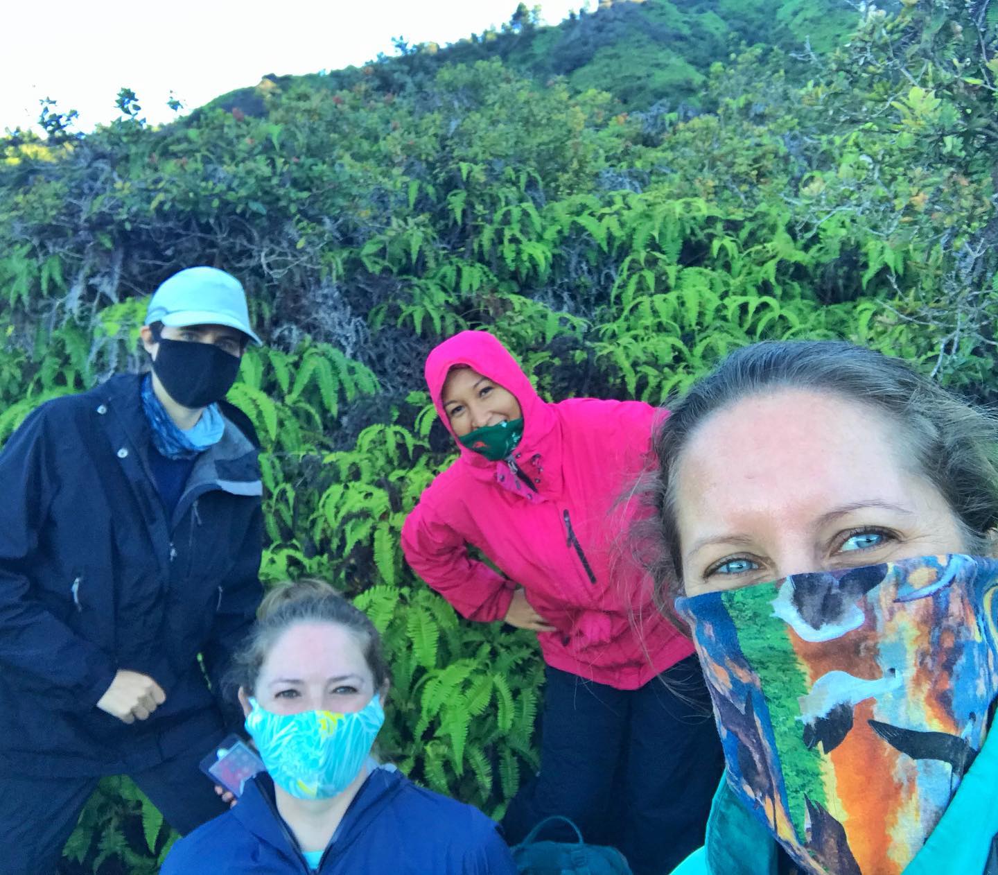 Albimasks Pacific Rim Conservation Rachel Sprague