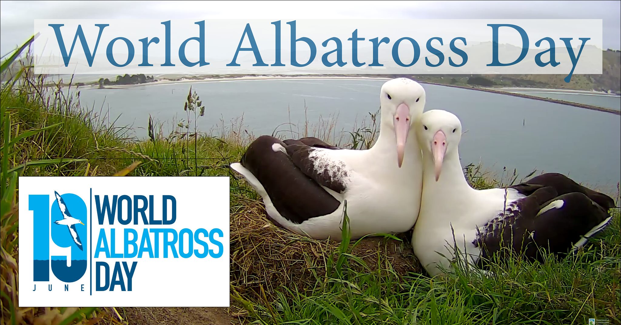 Royal Albatross Centre