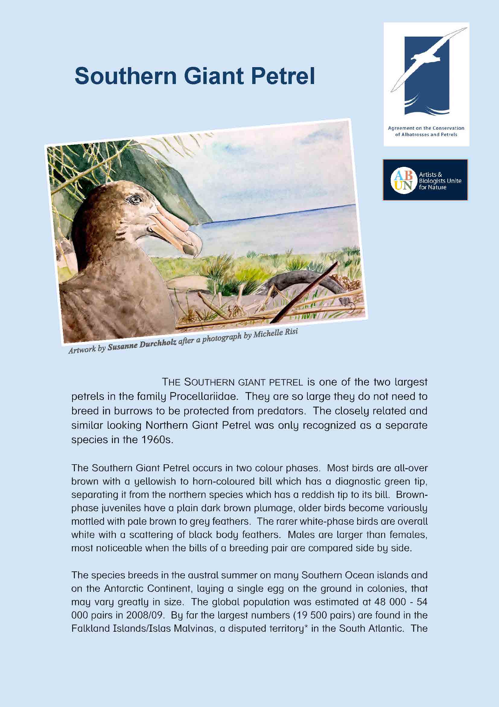 Southern Giant Petrel summary web thumb