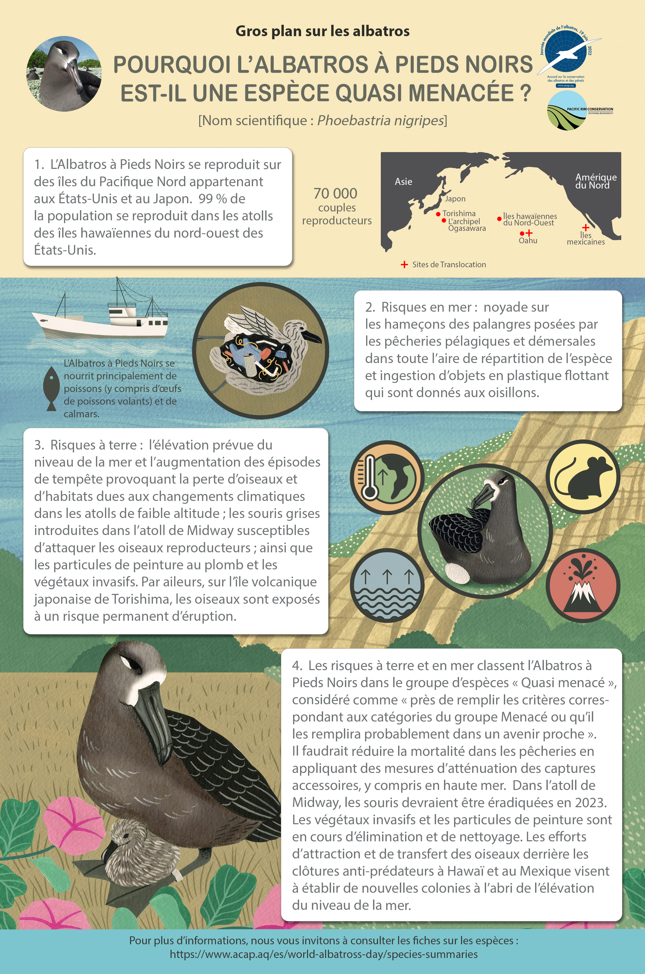 Black-footed Albatross infographic poster_fr - 9MB with 5mm bleed