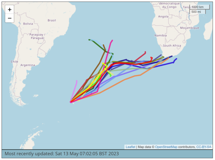 Movements of juvenile black browed albatross as at 13 May 2023