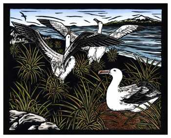 Linoprint Wandering Albatross Leigh Anne Wolfaardt