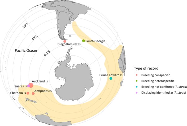 Suazo White capped Polar Biology map