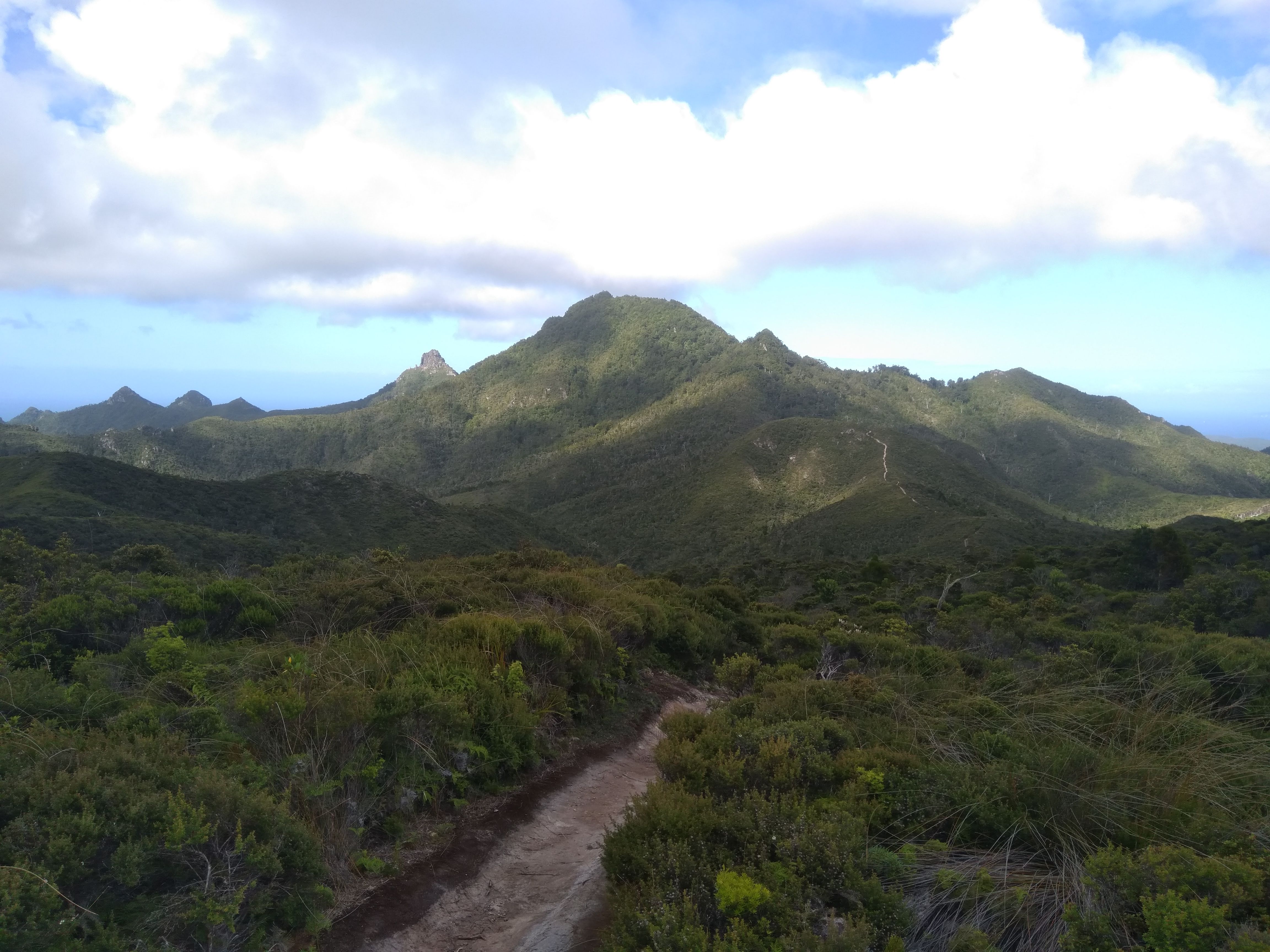 Mount Hobson George Hobson