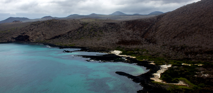 Floreana island conservation i