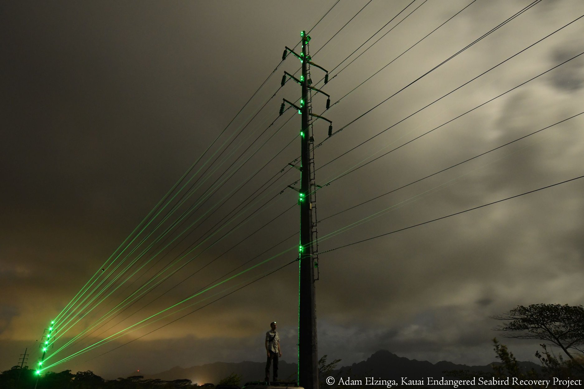 Laser fence