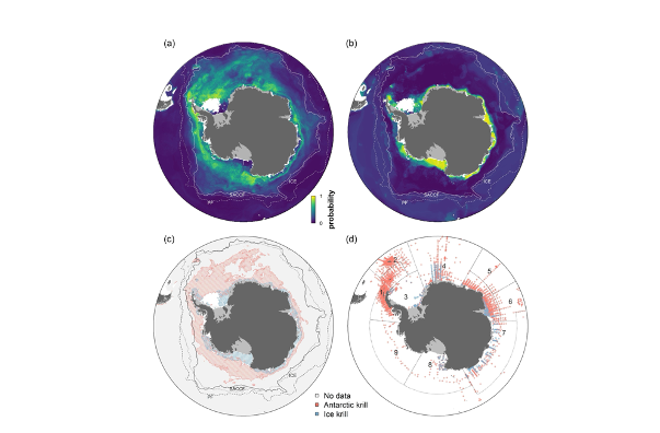 Fig 2 Krill Distribution Paper