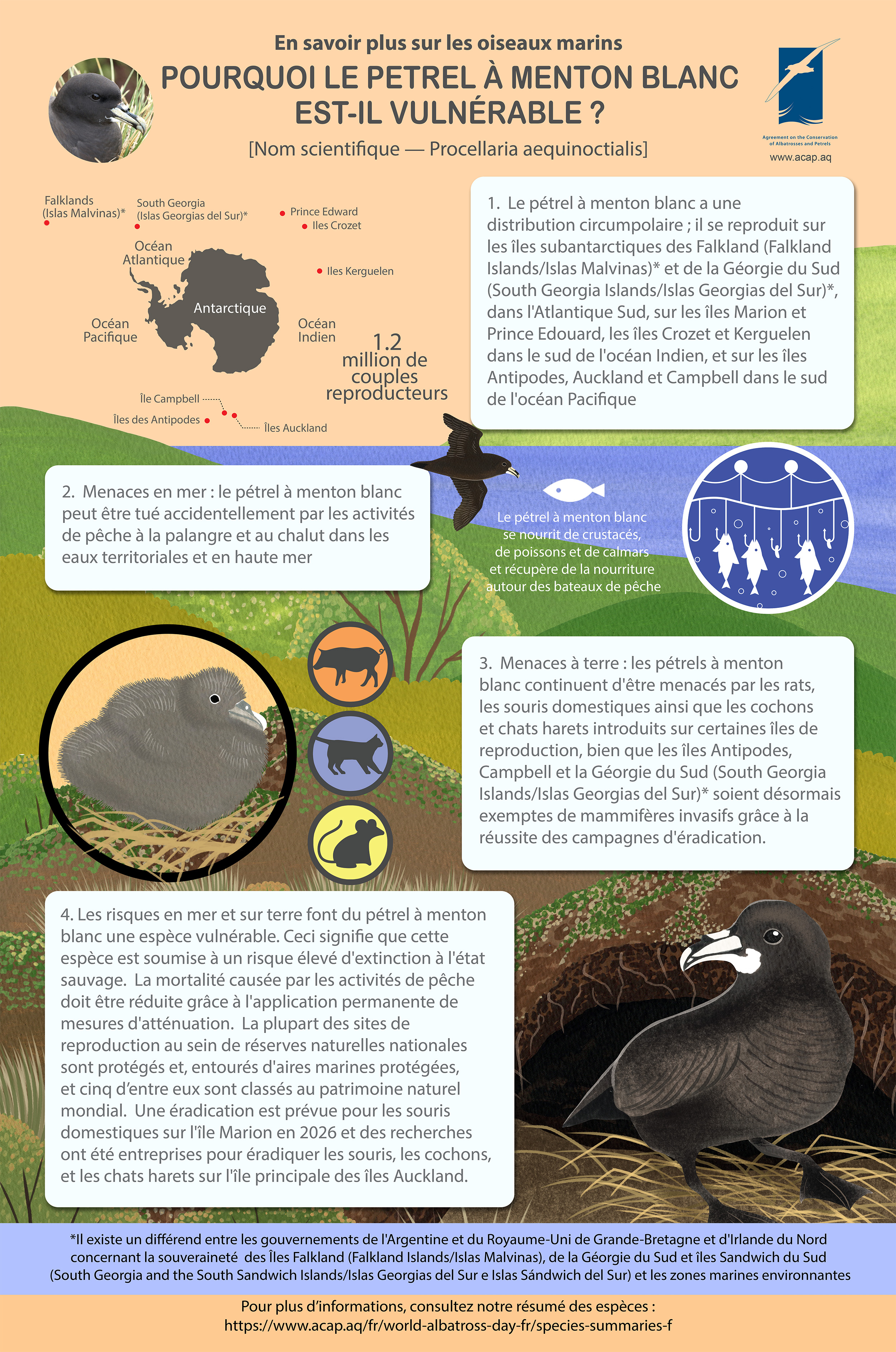 Infographic whitechinnedpetrel fr sml 2MB