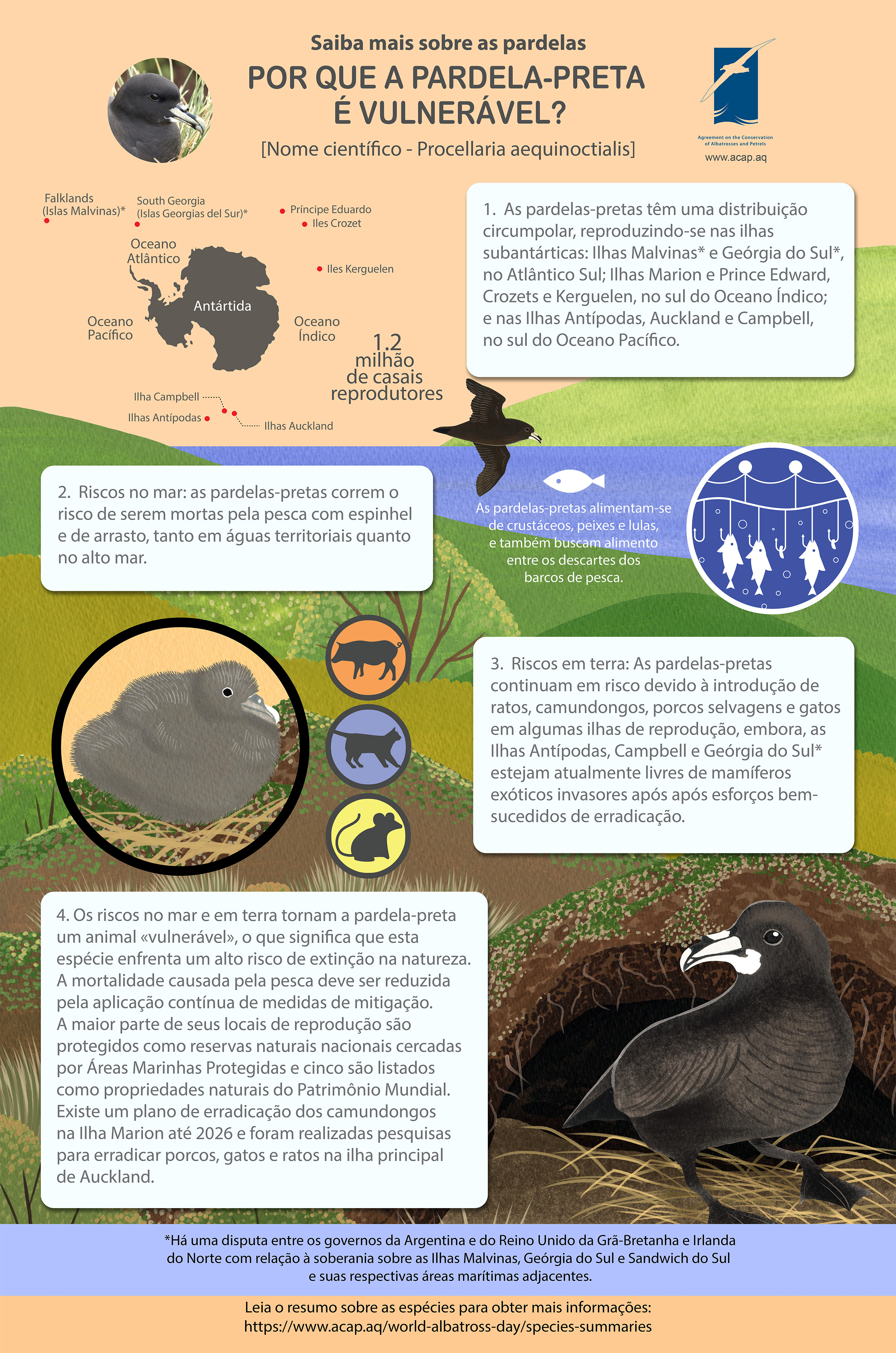 Infographic whitechinnedpetrel pt sml 2MB