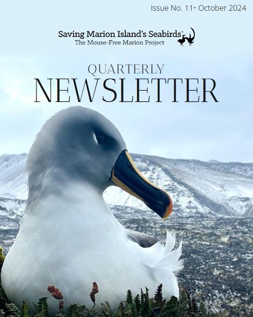 Quarterly Newsletter No. 11 October 2024 cover