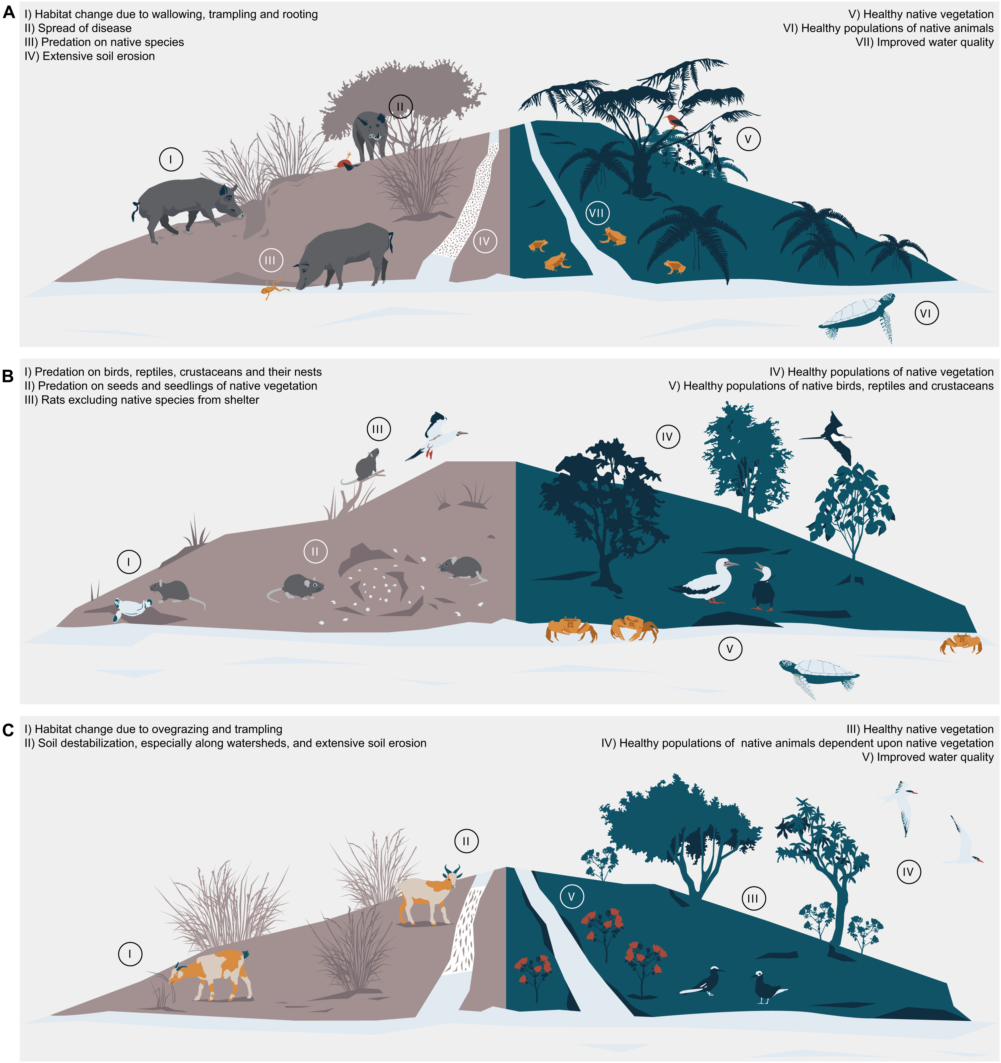 pnas.2122354119fig02