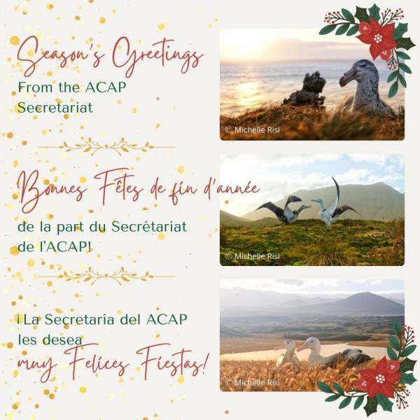 Seasonal greetings and best wishes for 2025 from the ACAP Secretariat