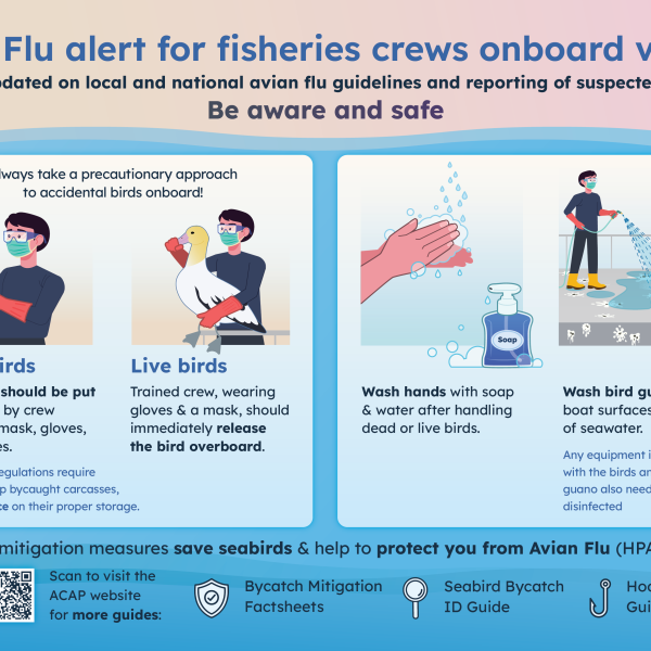 ACAP releases infographic poster on Avian Flu safety for fishers at sea