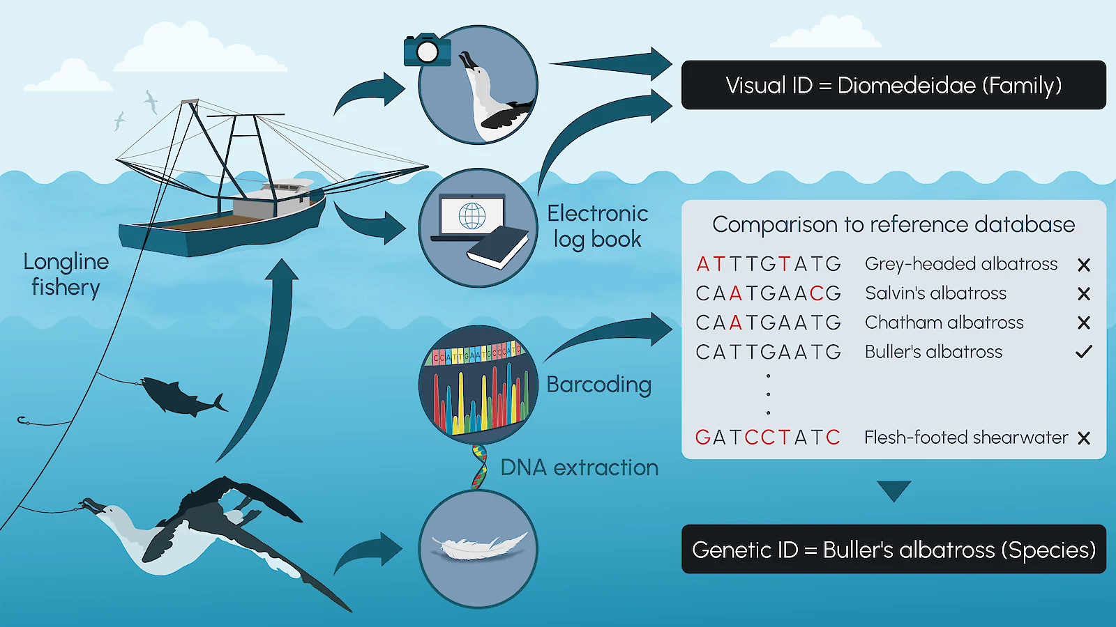 visual abstract final.1600x900